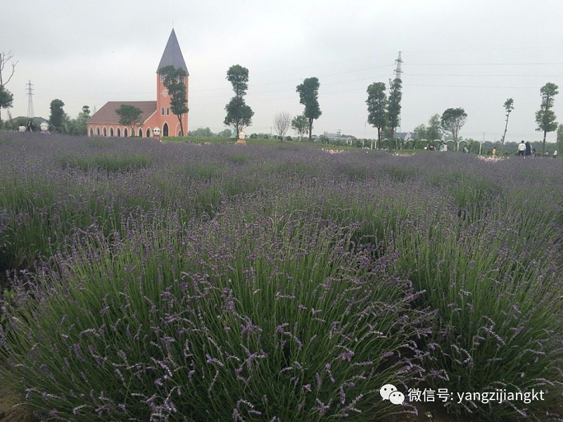 揚子江空調(diào)新風(fēng)系統(tǒng)